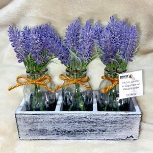 🌸 NWT 7.5" Lavender in Glass Vase w/ Wood Holder Home Decor Purple Accents